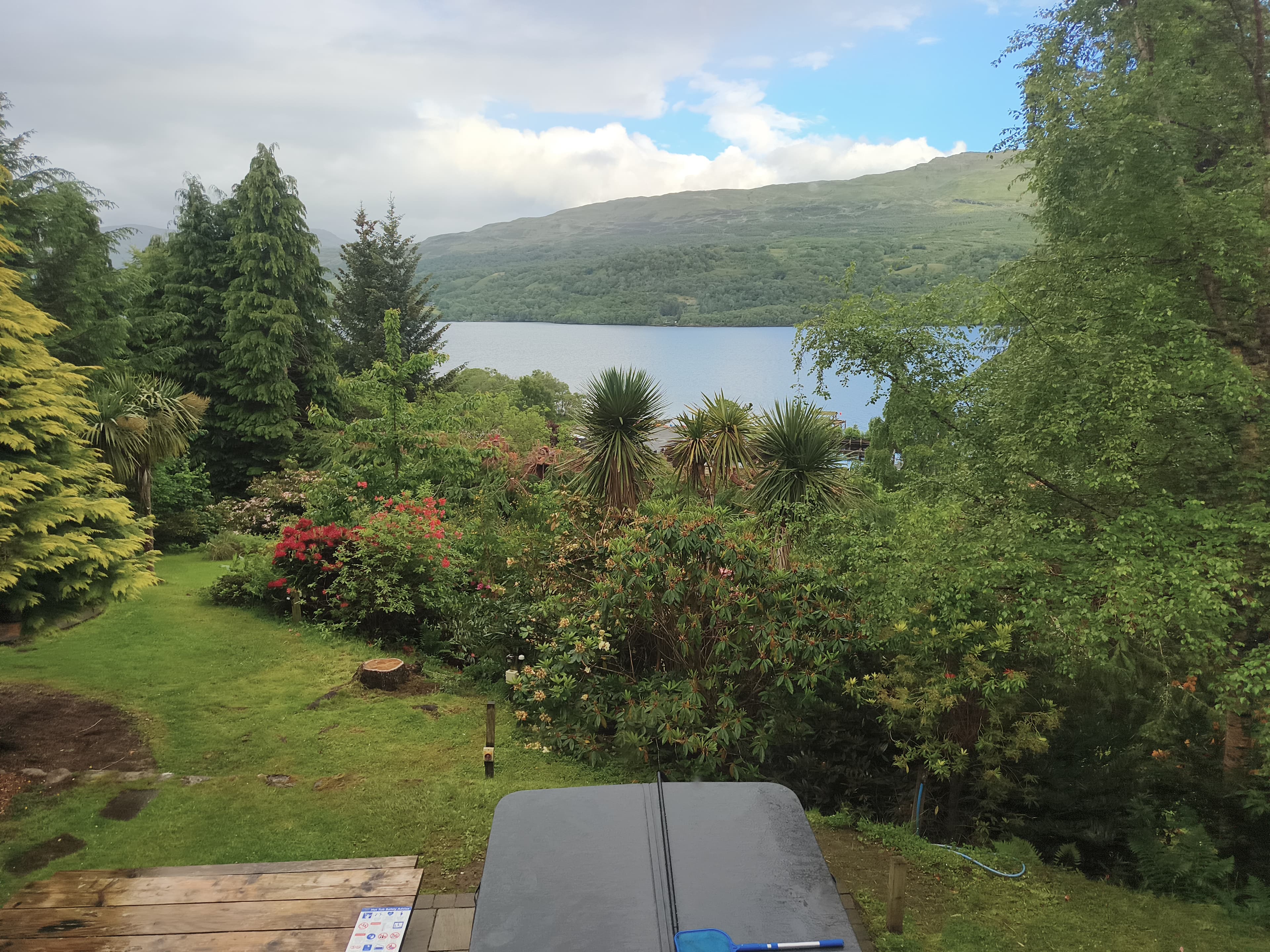this week's view