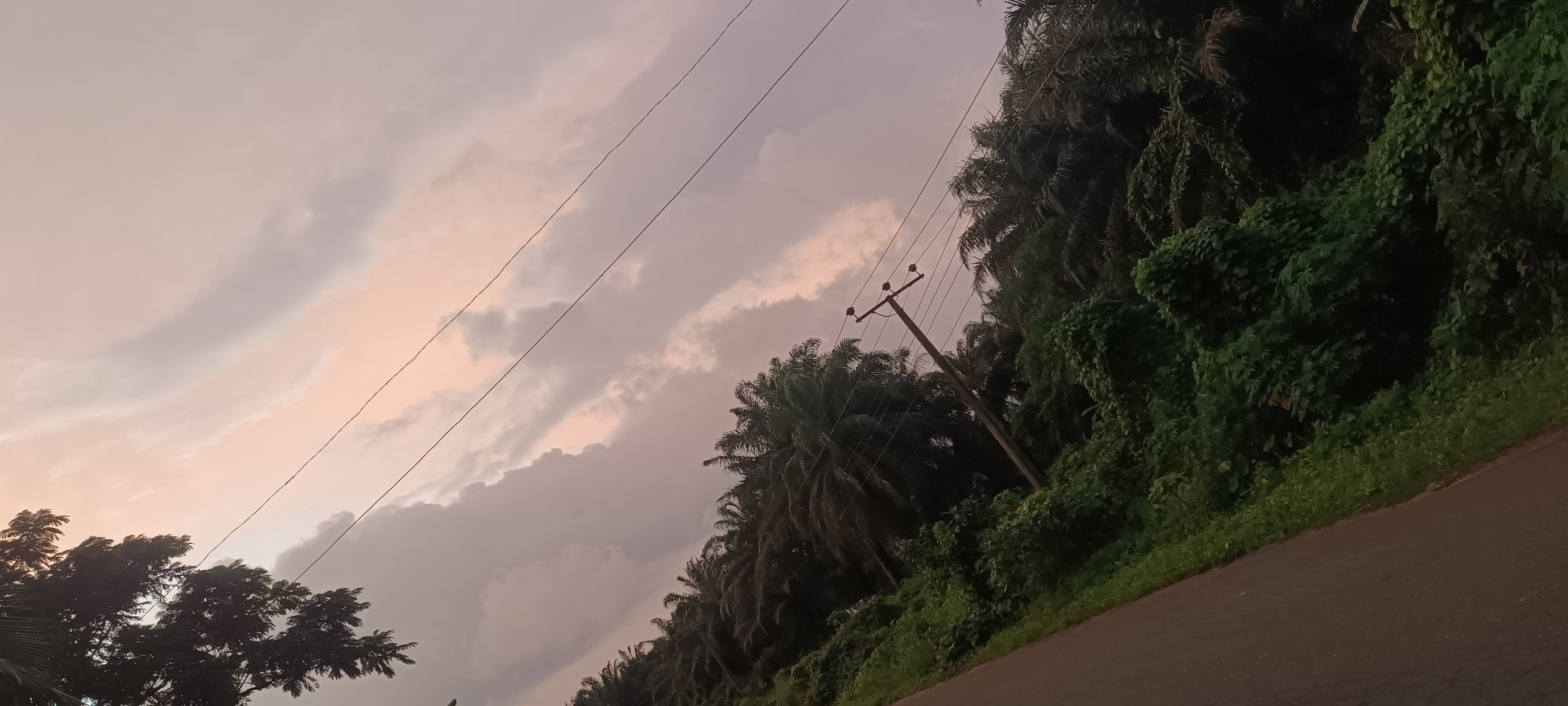 Nature