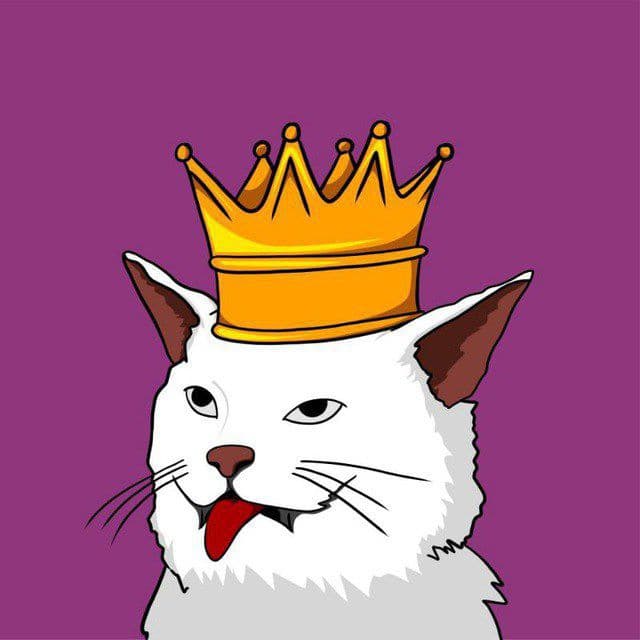 cat is a good narrative for memecoin. everything is about cat rn.