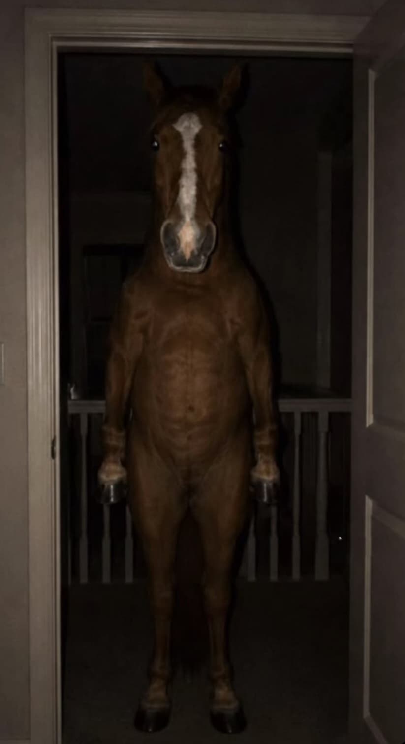 If this horse showed up outside your room at 3 AM, how would you react?