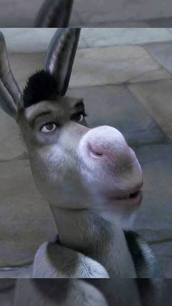 Me looking at my crypto portfolio at 3 AM:
"Are we green yet?"